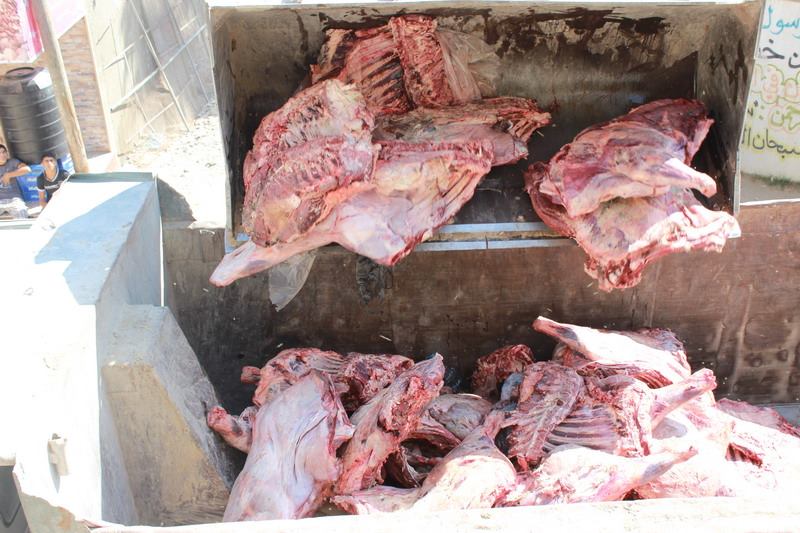 بلدية رفح تتلف لحوم