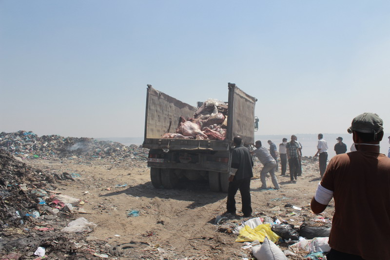 بلدية رفح تتلف 20 طن من المواد الفاسدة خلال العام 2013