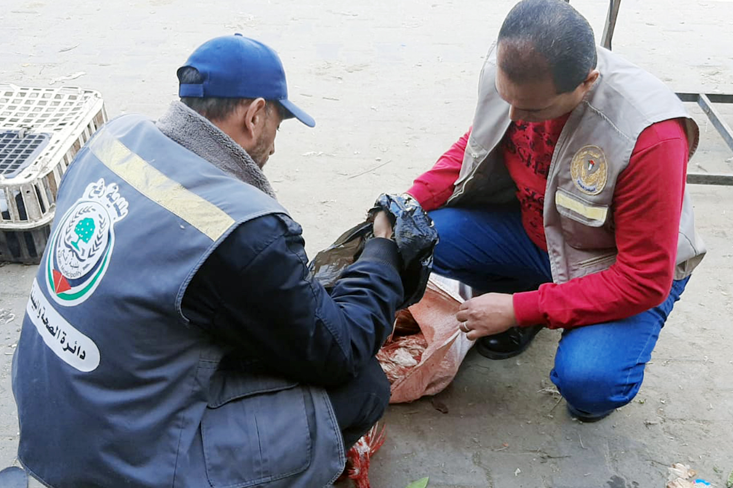 بلدية رفح تتلف (132) كيلو لحوم حبش ودجاج فاسد