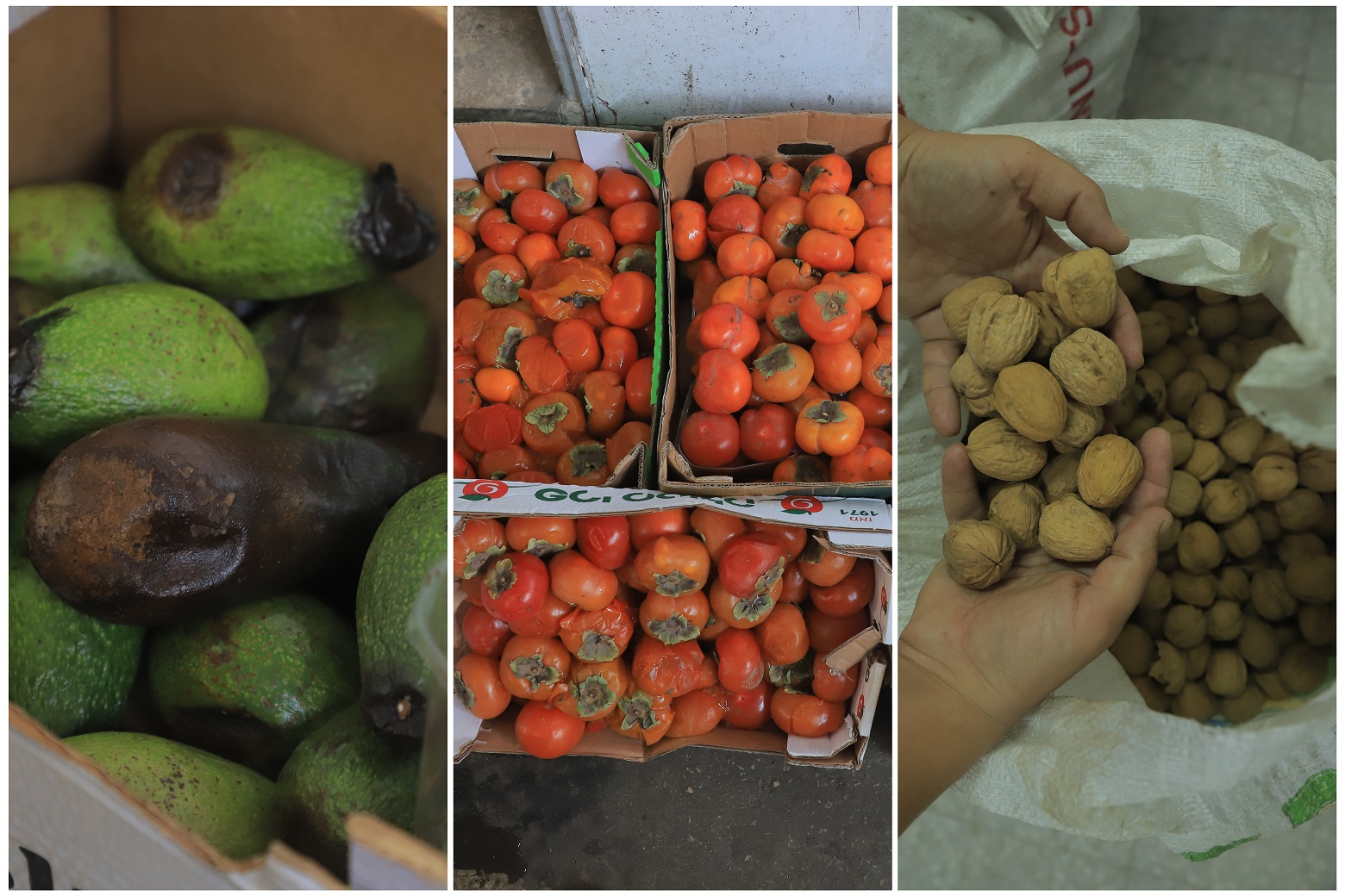 بلدية رفح تتلف 270 كيلوجرامًا من المواد الغذائية الفاسدة